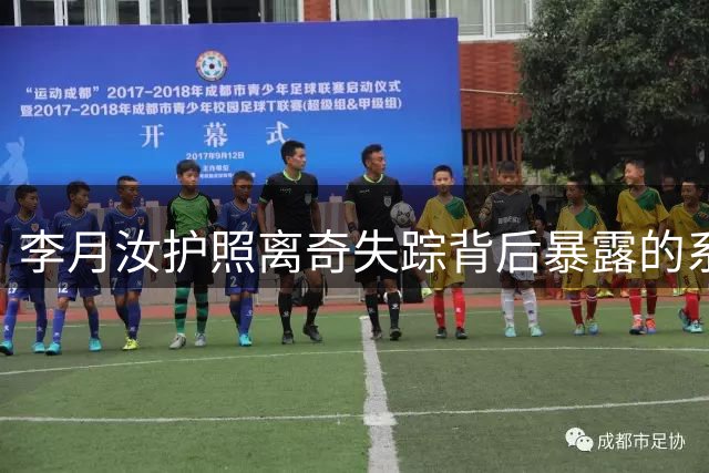 李月汝护照离奇失踪背后暴露的系统性弊端